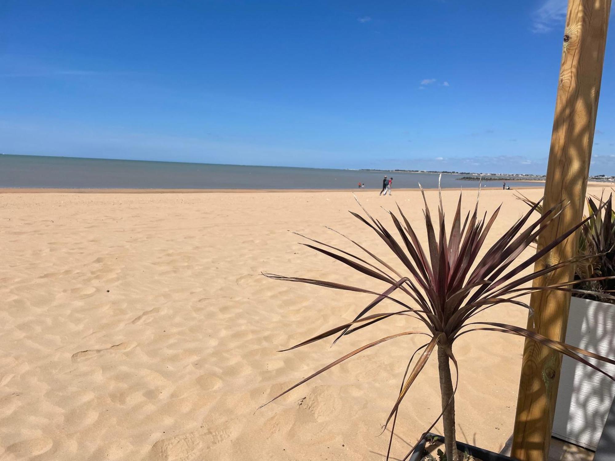Acadie Saint Victor - Hotel Restaurant - Face Mer - Chatelaillon Plage Exterior foto